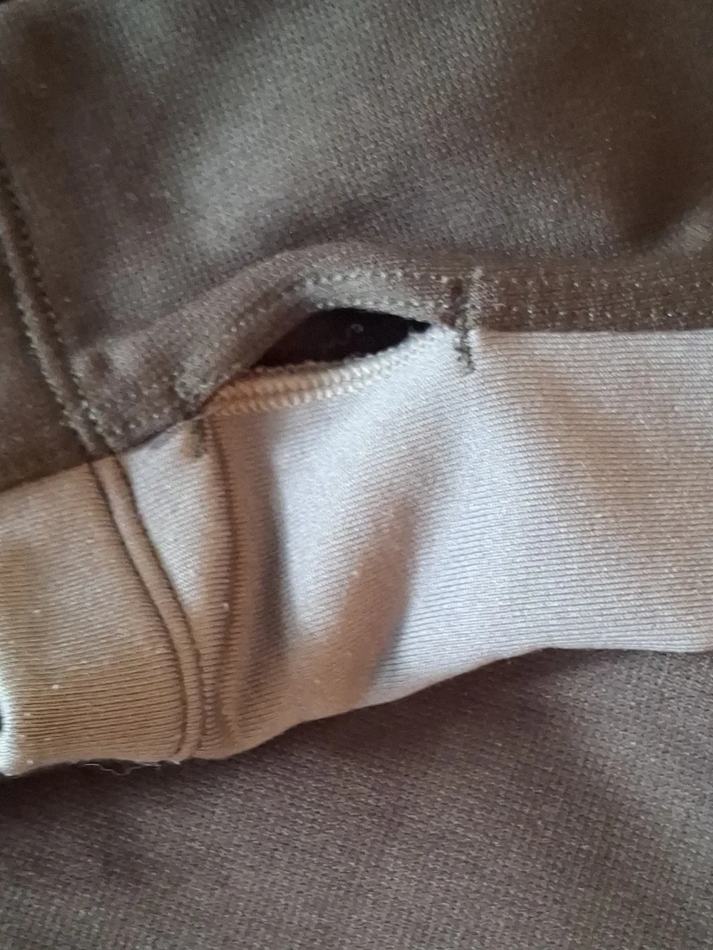 The North Face hooded softshell